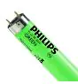 Philips MASTER TL-D 36W - Verde | 120cm